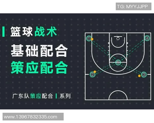 南京排球队的转换打法深度解析与战术创新探讨
