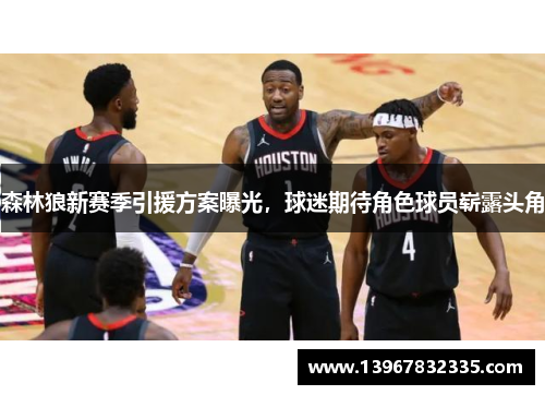 森林狼新赛季引援方案曝光，球迷期待角色球员崭露头角